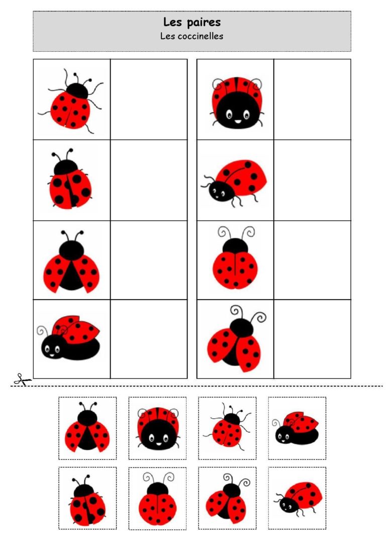 Observe Et Colle: Les Coccinelles Par Paires. | École Maternelle ...